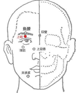 上明穴|医砭 » 中华针灸 » 上明